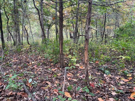 Brown County, Illinois 60 Acres of Land for Sale 