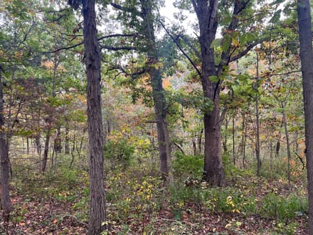 Brown County, Illinois 60 Acres of Land for Sale 