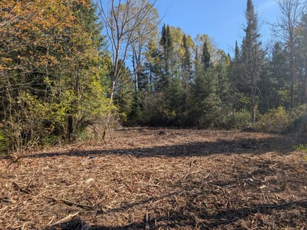 Sawyer County, Wisconsin 0.5 Acres of Land for Sale 