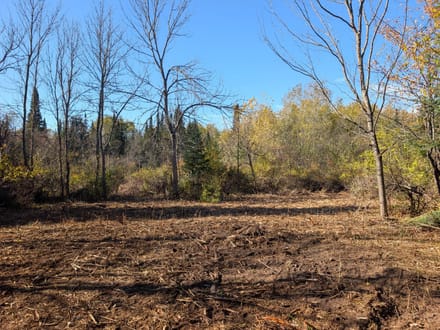 Sawyer County, Wisconsin 0.5 Acres of Land for Sale 