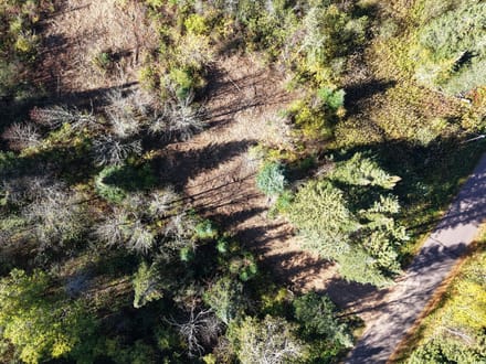 Sawyer County, Wisconsin 0.5 Acres of Land for Sale 