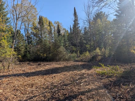 Sawyer County, Wisconsin 0.5 Acres of Land for Sale 