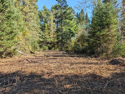 Sawyer County, Wisconsin 0.5 Acres of Land for Sale 