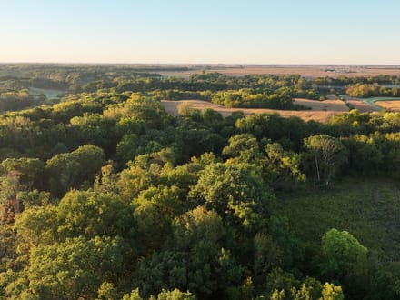 Peoria County, Illinois 167 Acres of Land for Sale with Home