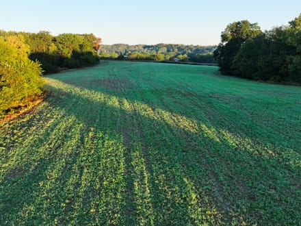 Peoria County, Illinois 167 Acres of Land for Sale with Home