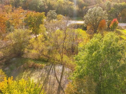 Jefferson, Iowa 15 Acres of Land for Sale