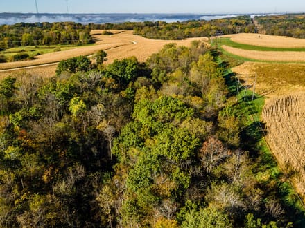 Grant County, Wisconsin 20.46 Acres of Land for Sale