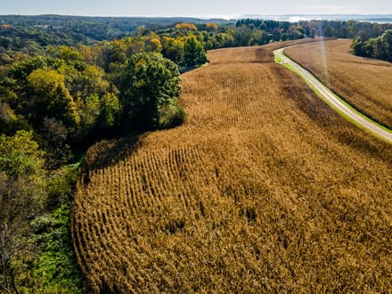Grant County, Wisconsin 20.46 Acres of Land for Sale