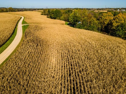 Grant County, Wisconsin 20.46 Acres of Land for Sale