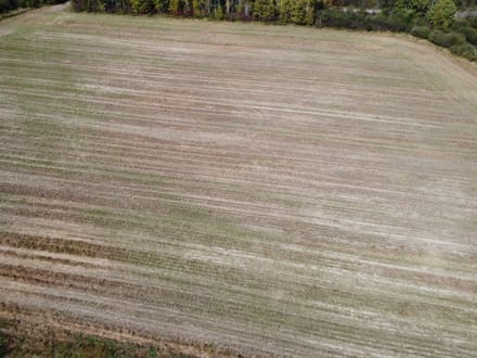 Wood County, Wisconsin 84 Acres of Land for Sale 