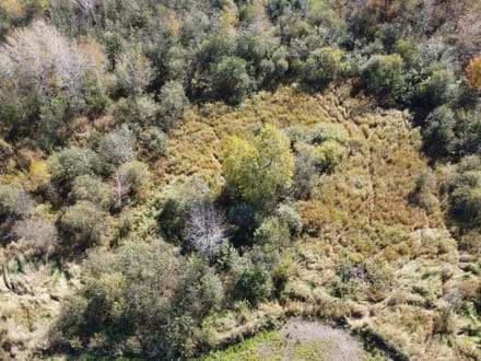 Wood County, Wisconsin 84 Acres of Land for Sale 