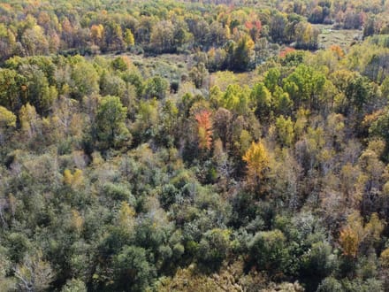 Wood County, Wisconsin 84 Acres of Land for Sale 