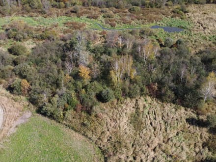 Wood County, Wisconsin 84 Acres of Land for Sale 