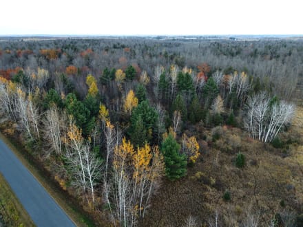 Taylor County, Wisconsin 40 Acres of Land for Sale 