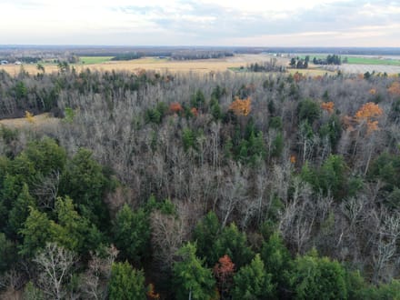 Taylor County, Wisconsin 40 Acres of Land for Sale 