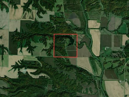 Fulton County, Illinois 163 Acres of Land for Sale with Home