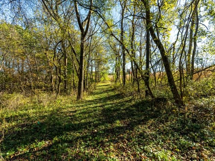 Grant County, Wisconsin 18.25 Acres of Land for Sale