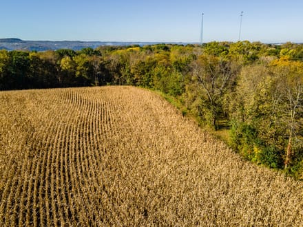 Grant County, Wisconsin 18.25 Acres of Land for Sale