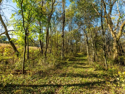 Grant County, Wisconsin 18.25 Acres of Land for Sale