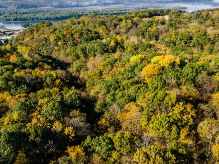 Grant County, Wisconsin 18.25 Acres of Land for Sale