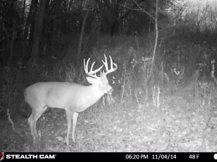 Iowa County, Wisconsin 132 Acres of Land for Sale with Cabin