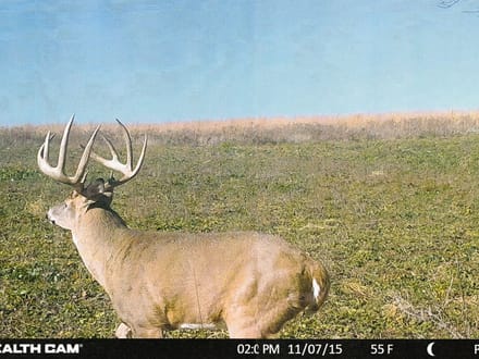 Iowa County, Wisconsin 132 Acres of Land for Sale with Cabin
