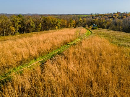 Iowa County, Wisconsin 132 Acres of Land for Sale with Cabin