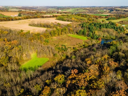 Iowa County, Wisconsin 132 Acres of Land for Sale with Cabin