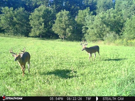 Iowa County, Wisconsin 132 Acres of Land for Sale with Cabin