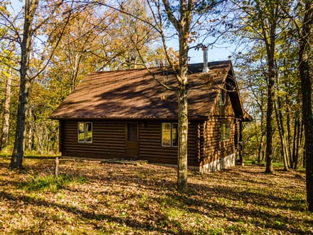 Iowa County, Wisconsin 132 Acres of Land for Sale with Cabin