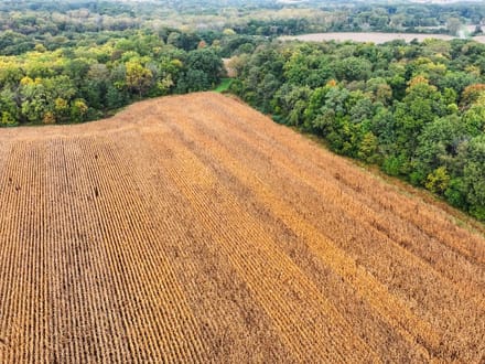 Peoria County, Illinois 107 Acres of Land for Sale