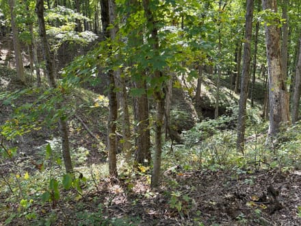 Coles County, Illinois 15.5 Acres of Land for Sale