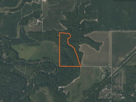 Coles County, Illinois 15.5 Acres of Land for Sale