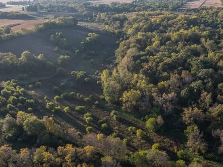 Rock Island County, Illinois 112 Acres of Land for Sale 