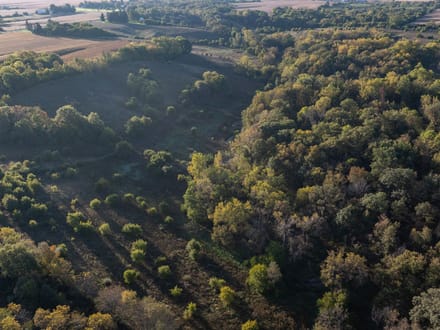 Rock Island County, Illinois 112 Acres of Land for Sale 