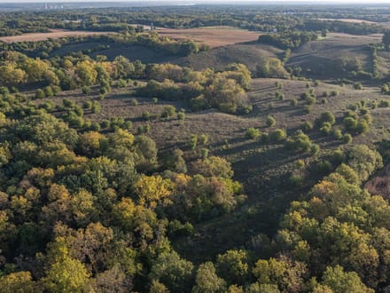 Rock Island County, Illinois 112 Acres of Land for Sale 