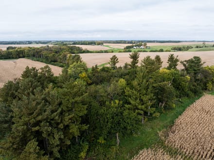 Knox County, Illinois 77 Acres of Land for Sale