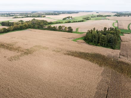 Knox County, Illinois 77 Acres of Land for Sale