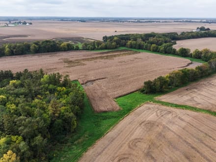 Knox County, Illinois 77 Acres of Land for Sale
