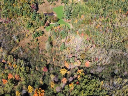 Wood County, Wisconsin 80 Acres of Land for Sale 
