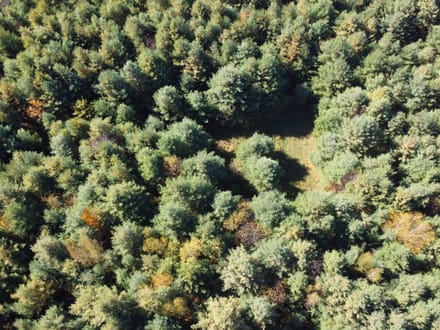 Wood County, Wisconsin 80 Acres of Land for Sale 