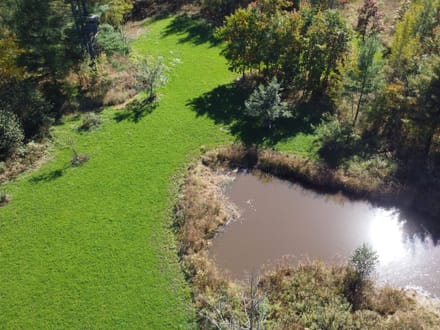 Wood County, Wisconsin 80 Acres of Land for Sale 
