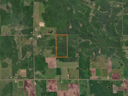 Wood County, Wisconsin 80 Acres of Land for Sale 