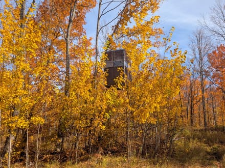 Price County, Wisconsin 280 Acres of Land for Sale