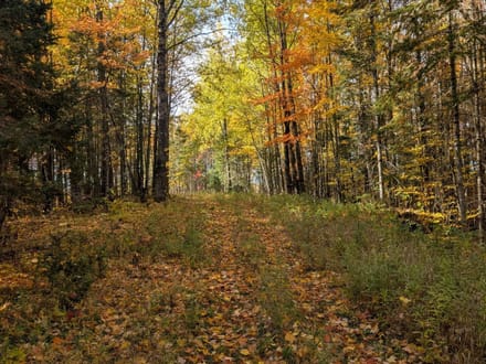 Price County, Wisconsin 280 Acres of Land for Sale
