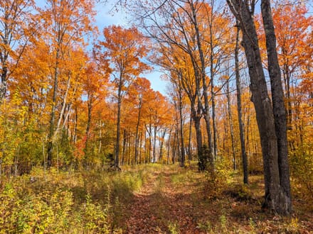 Price County, Wisconsin 280 Acres of Land for Sale