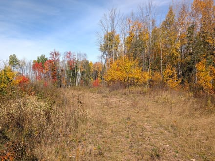 Price County, Wisconsin 280 Acres of Land for Sale