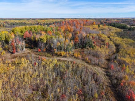 Price County, Wisconsin 280 Acres of Land for Sale