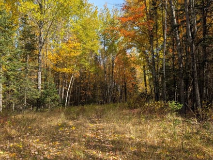 Price County, Wisconsin 280 Acres of Land for Sale