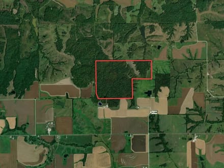 Scotland County, Missouri 196 Acres of Land for Sale with Cabin